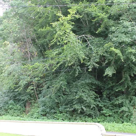 Au Coeur Des Volcans D'auvergne Apartmán Ceyssat