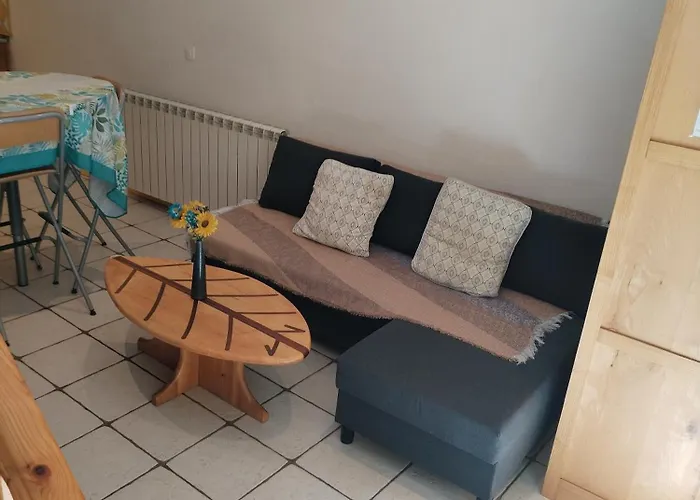 Au Coeur Des Volcans D'auvergne Apartment *