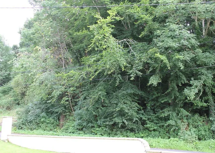 Au Coeur Des Volcans D'auvergne Apartment Ceyssat